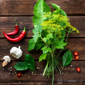 Зонтики укропа