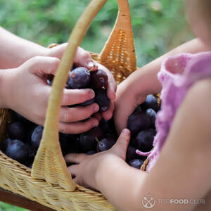 Перебираем сливы