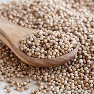 Добавить кориандр