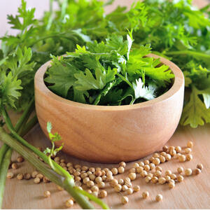 Мыть кориандр