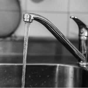 Промыть свинину