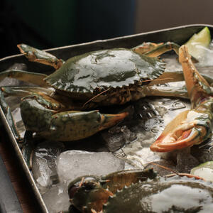 разморозить краба