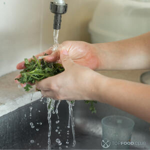 Помойте кинзу