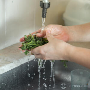 Помыть кинзу