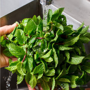 Подготовить мяту