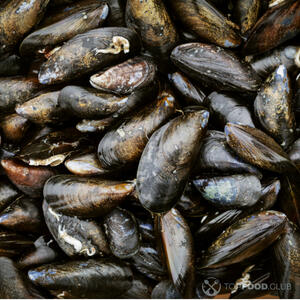 Свежие мидии