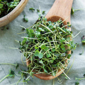 Подготовить микрозелень