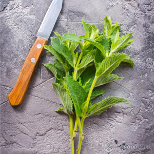 Подготовить мяту