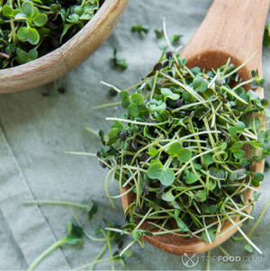 Подготовить микрозелень