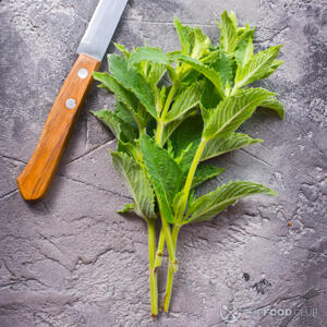 Подготовить мяту