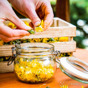 Подготовить одуванчики