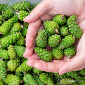 Подготовить шишки