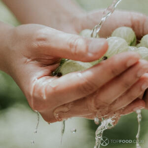 Крыжовник помыть