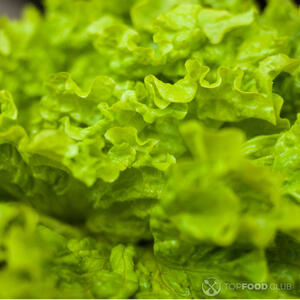 листья салата