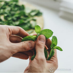 отделяем мяту