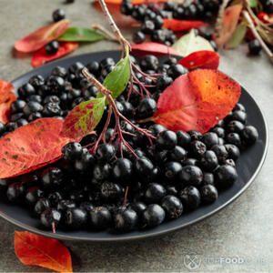 Подготовить рябину