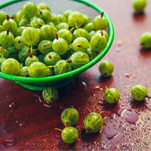 Помыть крыжовник