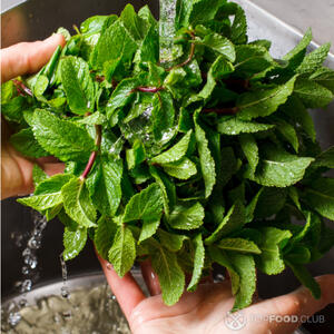 Помыть мяту