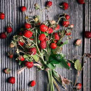 Подготовить землянику