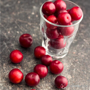 Подготовить алычу