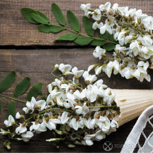 Подготовить акацию