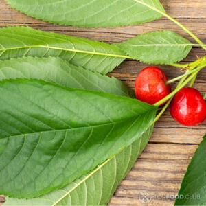 Подготовить листья вишни