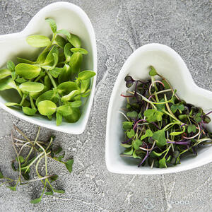 микрозелень