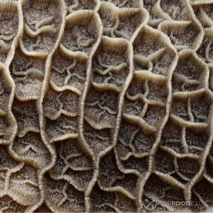 Подготовить говяжий рубец