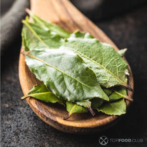 лавровый лист