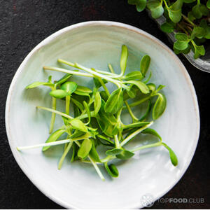 Микрозелень