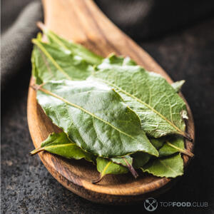 Лавровый лист