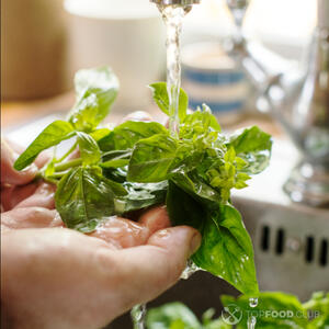 моем базилик