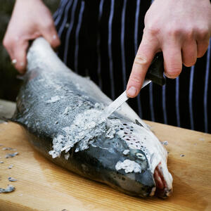 Чистить рыбу