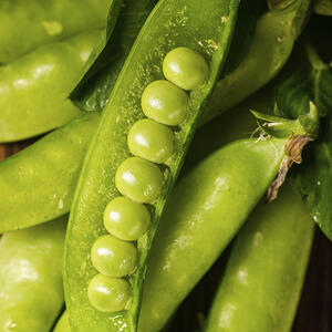 Зеленый горошек