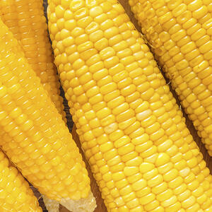 Достаем кукурузу