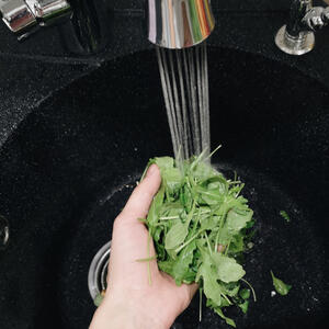 Моет рукколу