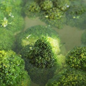 положите брокколи и варите 15-20 минут