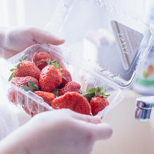 Rinse the strawberries for cheesecake.