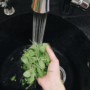 Rinse arugula under running water.