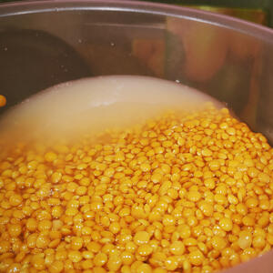 Rinse red lentil