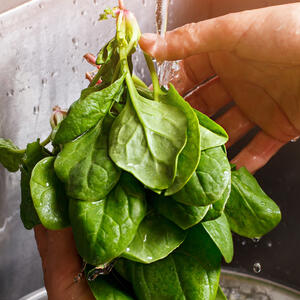 Wash spinach, finely cut it.