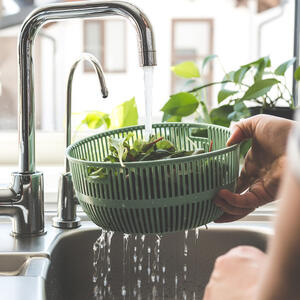 Wash the green salad.