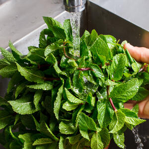Rinse the mint and finely chop.