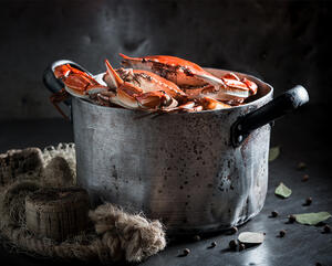 Boil the crabs alive