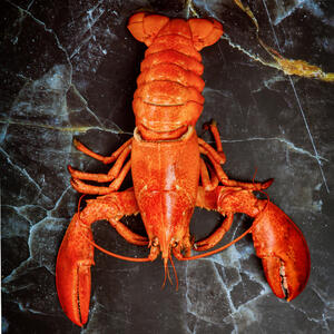 Add the lobster to the boiling pot