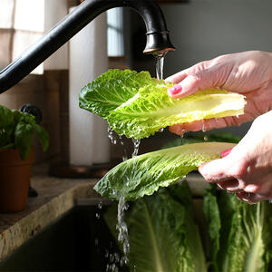 wash the lettuce