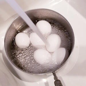 boil the eggs