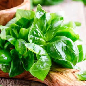 cut the basil