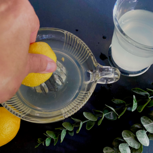  squeeze the juice from a lemon over them