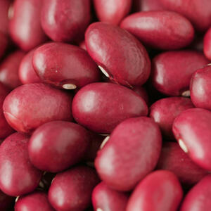 Add beans and pour with the broth